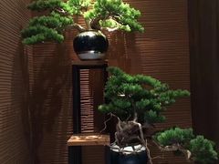 -大桶大足浴(金桥店)