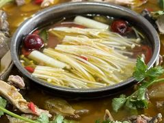 -黑河坝泡姜鸡贡椒鱼(贾旗路店)