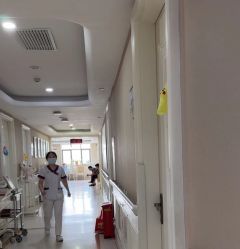 -玛丽亚妇产医院
