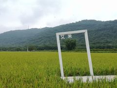 -艾米稻香小镇