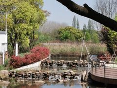 -同里国家湿地公园