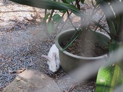 -福建鲤鱼洲酒店