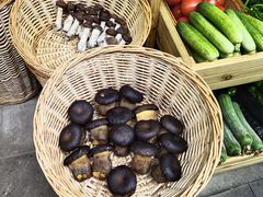 -华冠悠岚·庭院餐厅(青城后山店)