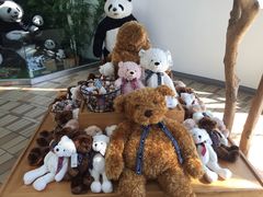 -济州岛泰迪熊博物馆