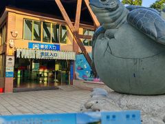 -广东惠东海龟国家级自然保护区