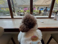 -VERIE BAKEHOUSE