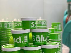 -Salud撒露欧洲冻酸奶(蓝色港湾店)