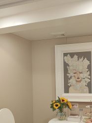 -YESIDO椰岛美容