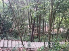 -龙湾潭国家森林公园