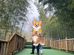 -陶祖圣境风景区