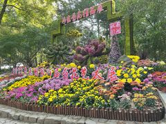 -杭州植物园