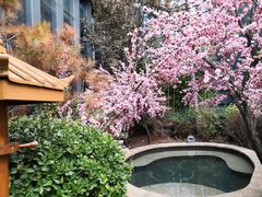 -悦隆庄温泉度假酒店