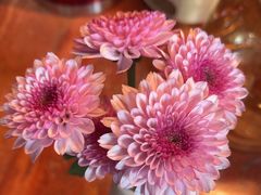 -满堂匠心川宴·私房菜(天府三街店)