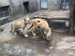 -西安秦岭野生动物园