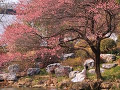-中国茶叶博物馆(双峰馆区)