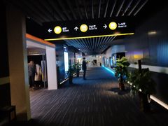 -奥斯卡升龙国际影城(RealD Cinema)