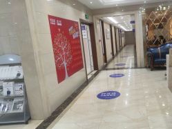 -碧莲盛·不剃发植发