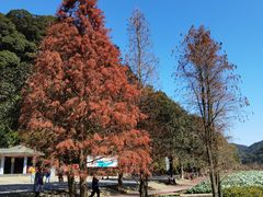 -广州市石门国家森林公园