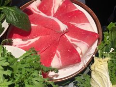 -九鼎轩脆毛肚火锅(三钢里店)