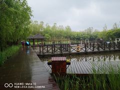 -溱湖国家湿地公园