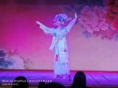-盖碗儿梨园·变脸吐火·川剧(天府广场店)