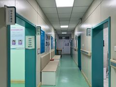 -北京观赏动物医院·24小时大型综合·猫专科·异宠专科