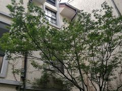 -徐家汇源景区-衡山坊