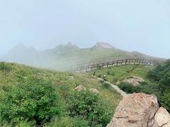 -白草畔自然风景区