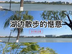 -天津东丽湖风景区