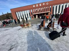 -横道河子东北虎林园
