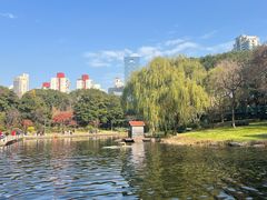 -白家餐厅(徐家汇店)