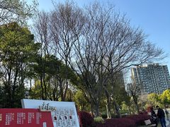 -南翔镇银翔湖公园