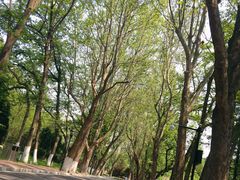 -棒棰岛宾馆景区