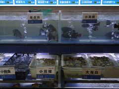 -欢乐海岸美食联盟