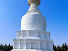 -凉州白塔寺景区