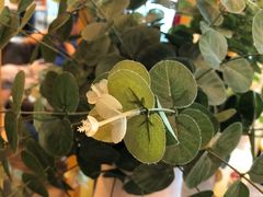 -雕刻时光咖啡馆(北苑店)