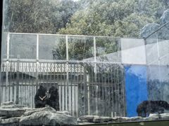 -石燕湖生态旅游景区