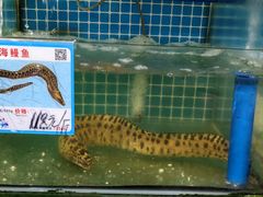 -锦里海景海鲜餐厅.三亚老字号(亚龙湾中心广场店)