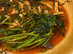-芙蓉树下冒菜·麻辣烫(农院店)