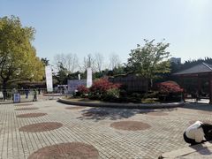 -嘉定紫藤园