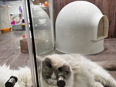 -宠物世家(仲盛世界商城店)