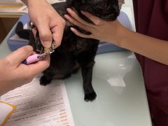 -宠福鑫康馨动物医院·骨科·眼科