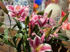 -弗劳尔花艺坊(龙涛店)