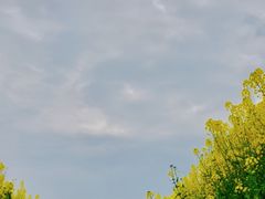 -中国天府农业博览园