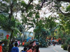 -广东茂名森林公园