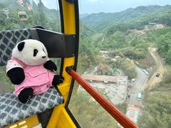 -栾川竹海野生动物园