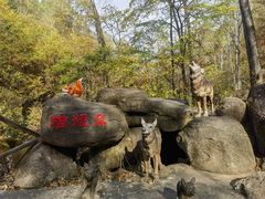 -茅兰沟国家森林公园