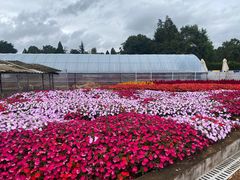 -昆明春城湖畔度假村