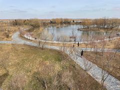 -盐城丹顶鹤湿地生态旅游区