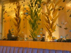 -Acqua海蓝意大利餐厅
